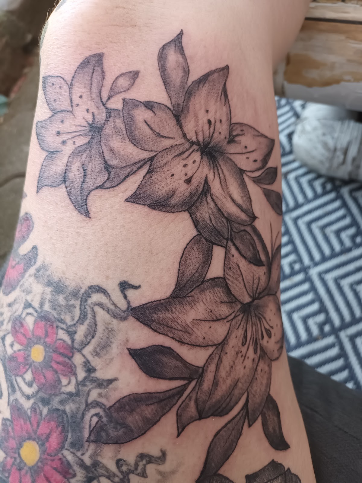 Proxicoif by Sarah et L'Ange de L'Encre — galerie 3